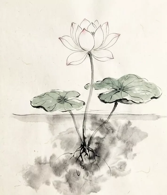 Ink-wash painting of a white lotus above the water, its stem and roots reaching down into cloudy water below